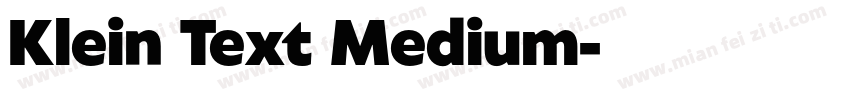 Klein Text Medium字体转换